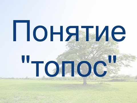 Видео: Понятие "топос"