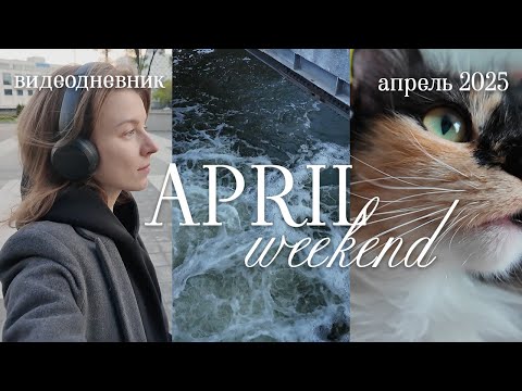 Видео: дневник моушена: апрельские выходные, бьюти-выходные, вкусная еда