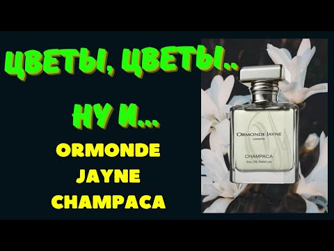 Видео: Ormonde Jayne Champaca Что там хайпового?