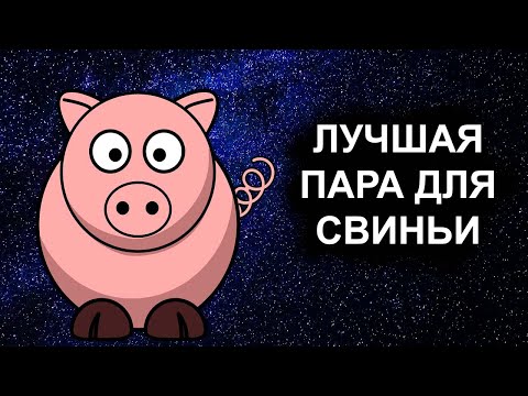 Видео: Совместимость знака Свиньи - лучшая и худшая пара