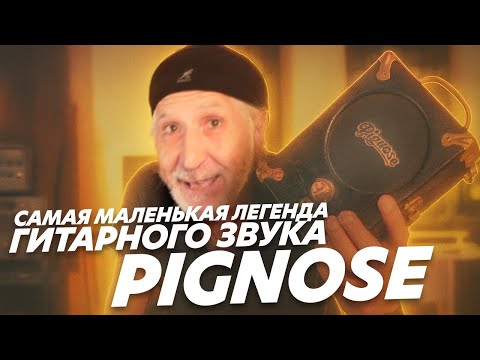 Видео: Американский звук и PIGNOSE - культовый транзисторный гитарный усилитель  (Блог Геннадия Мартова)