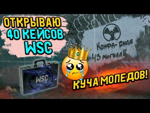 Видео: ОТКРЫВАЮ ДЮПАНЫЕ КЕЙСЫ WSC В WILL TO LIVE ONLINE В 2024 ГОДУ!