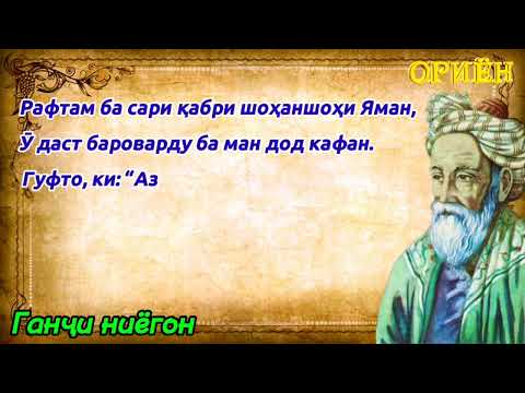 Видео: 3 ноября 2025 г.