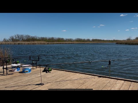 Видео: Карповая рыбалка открытие сезона на озере ТЕМЕШ #carp#рыбалка #fishing #рыбалканаозере #карп