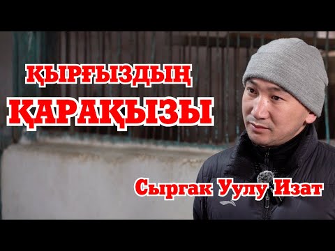 Видео: ҚАРАҚЫЗ | КӨШПЕНДІЛЕР ойыны | Ат дайындау |