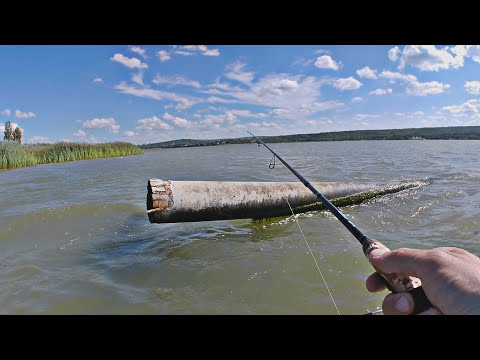 Видео: Месяц халявной рыбалки на водоёме Гидигич