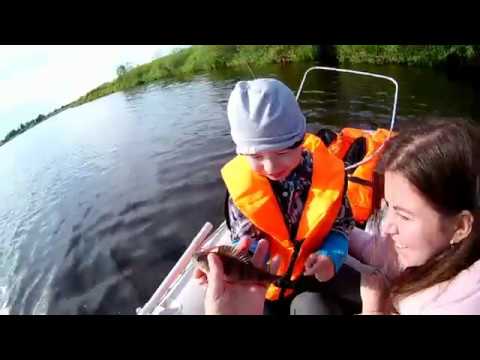 Видео: Рыбалка река Луга д.Орлы часть 2