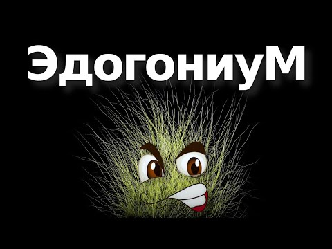 Видео: Эдогониум и волосатое нашествие