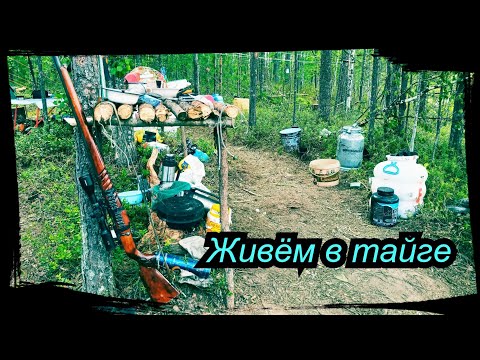 Видео: 4 МЕСЯЦА В ТАЙГЕ.  НА ВЕРТОЛЁТЕ.  Bushcraft ( # 5/5 )