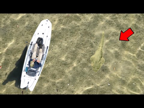 Видео: Охота на ГИГАНТОВ сверху?!!