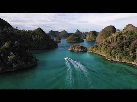 Видео: Фильм-путешествие|Китовые акулы|Raja Ampat - жемчужина Индонезии|Дайвинг!