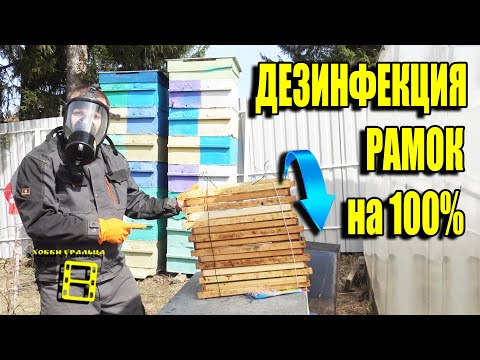 Видео: КАК ОЧИСТИТЬ РАМКИ ОТ ПЛЕСЕНИ И ПОНОСА? ДЕЗИНФЕКЦИЯ ПЧЕЛИНЫХ РАМОК. ДЛЯ НАЧИНАЮЩИХ ПЧЕЛОВОДОВ 8-21