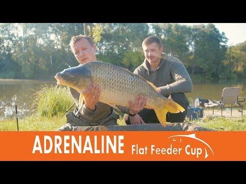 Видео: Соревнования по Flat Feeder. Водоём Adrenaline