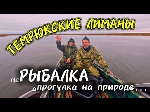 Видео: ТЕМРЮКСКИЕ ЛИМАНЫ/СЫН В ШОКЕ ОТ ТАКОЙ РЫБАЛКИ/В ПОИСКАХ ЗУБАСТОЙ #рыбалка #сын #природа #лодка #щука