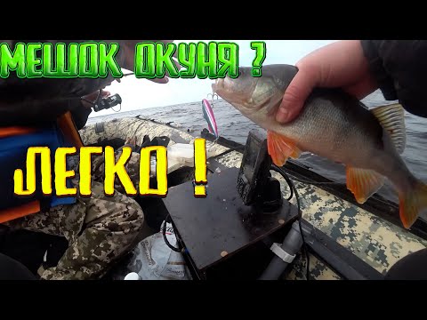Видео: Мешок окуня? Легко! Пожва, Пермский край, Камское Водохранилище. Ловля окуня на Ратлины