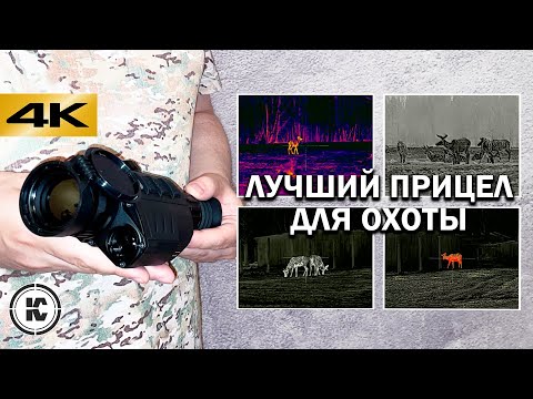 Видео: Тепловизор для охоты. Как работает прицел. Теория и практика использования.