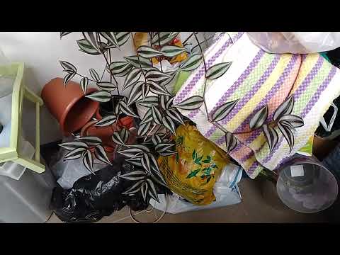 Видео: 19 октября 2025 г.