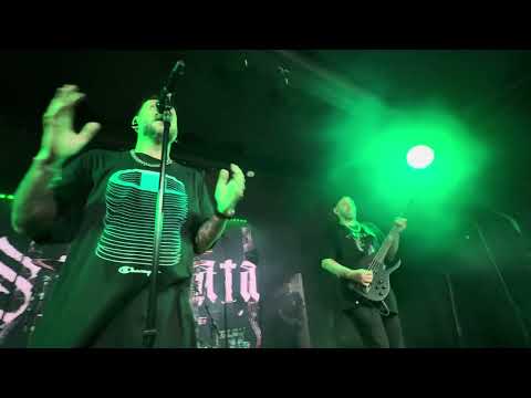 Видео: Stigmata - Цунами. LIVE / Барнаул 05.10.2025