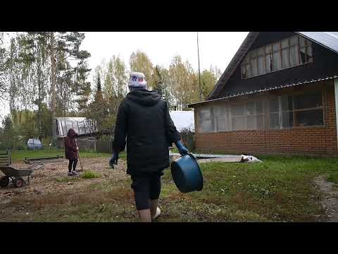 Видео: Сгребаем листья 