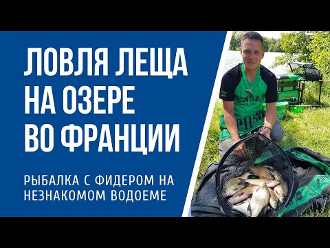 Видео: Ловля леща на водохранилище летом во Франции