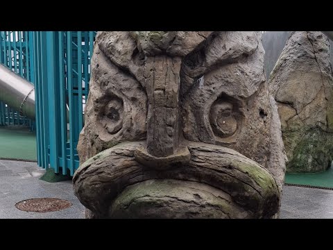 Видео: World of wildlife Мир природы в прямом эфире!