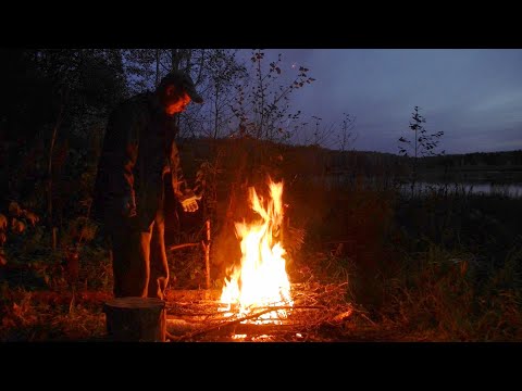 Видео: Рыбалка на озере с неожиданным продолжением #494