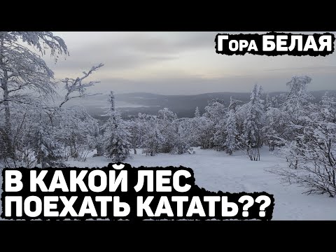 Видео: Фрирайд на БЕЛОЙ. В какой лес поехать???