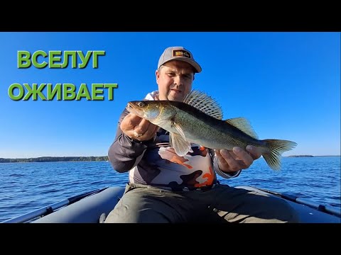 Видео: Вселуг Оживает | Рыбалка В Начале Сентября