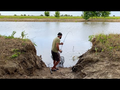 Видео: СУМАСШЕДШАЯ РЫБАЛКА! ТАК ЕЩЁ НИКТО НЕ ЛОВИЛ. ЖОР КАРАСЯ И КРАСНОПЁРКИ НА САРАНЧУ. Наживки валом.