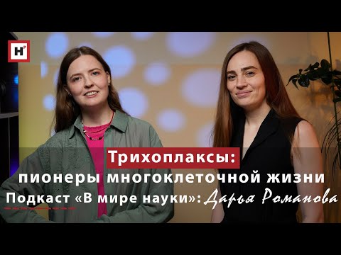 Видео: Трихоплаксы: пионеры многоклеточной жизни. Подкаст «В мире науки»: Дарья Романова