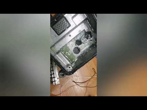 Видео: Астра G 1,7 ISUZU. Не заводится. Ошибка 0251. Ремонт ЭБУ ТНВД.