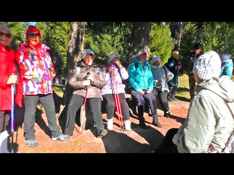 Видео: Один из октябрьских дней