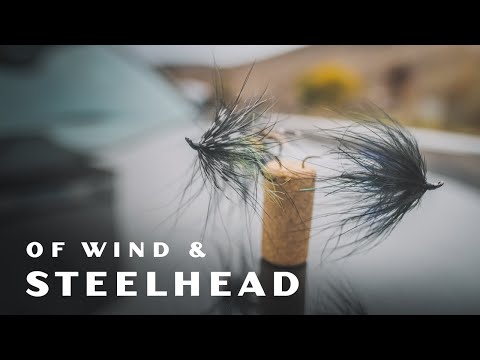 Видео: ВЕТРА И СТАЛЬНОГОЛОВОГО ОЛЕНЬ | Ловля осеннего стальноголового лосося нахлыстом в пустыне Орегона