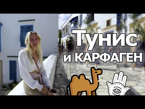 Видео: Античная Африка | Тунис | Карфаген | Бани