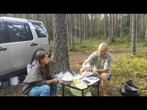 Видео: Кемпинг в Карелии| Живем в машине|(день 1-2)|Смотрим с RDS28