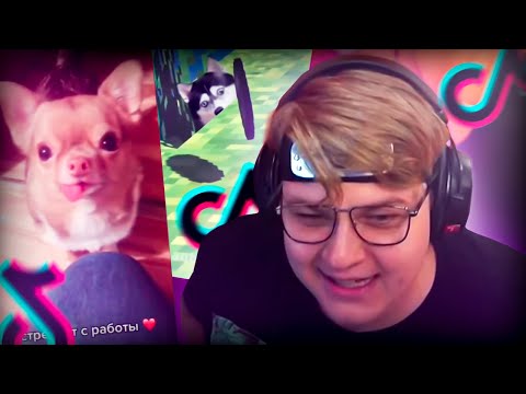 Видео: Пятёрка смотрит ПОДБОРКУ ТИК ТОКОВ ОТ ПОДПИСЧИКА 17# | Нарезка стрима @5opka