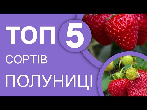 Видео: ТОП  саджанців полуниці