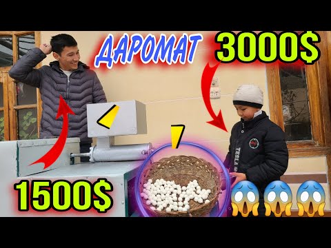 Видео: УЙ ШАРОИТИДА 3000$ ОЙИГА ДАРОМАДЛИ  КУРТ (КУРТОП) ИШЛАБ ЧИКАРИШ БИЗНЕСИ