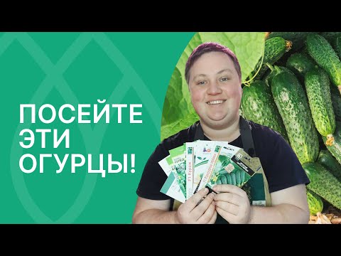 Видео: Самые урожайные! подборка огурцов от Бориса Борисова!