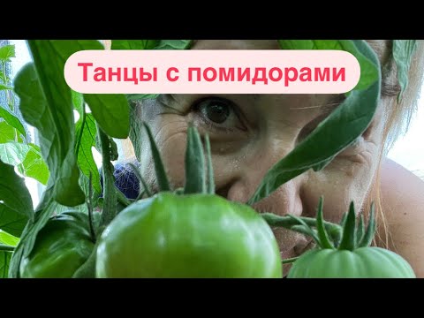 Видео: Что нужно сделать с помидорами именно в это время, чтоб получить достойный урожай☝🏼☺️🍅