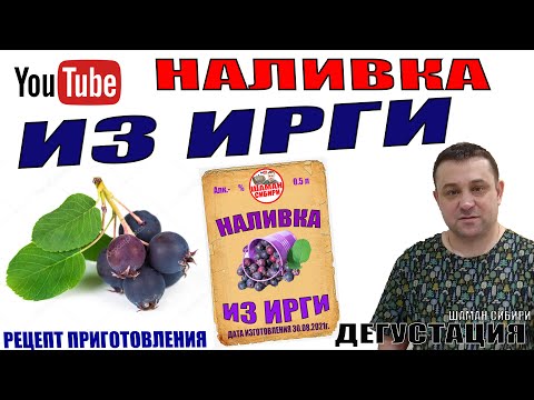 Видео: Наливка из Ирги! Рецепт приготовления! Дегустация!