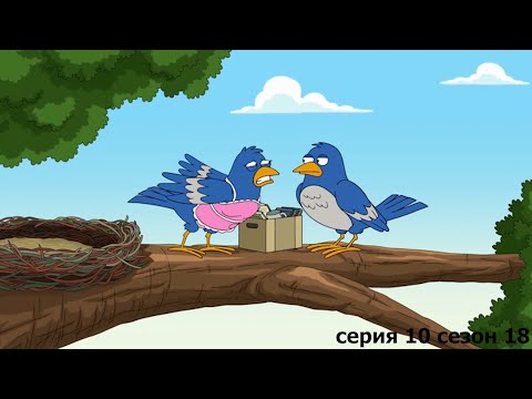 Видео: ГРИФФИНЫ БОЛЬШАЯ НАРЕЗКА СМЕШНЫХ МОМЕНТОВ #1