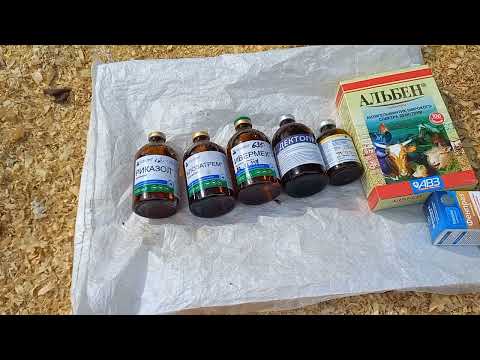 Видео: Гельминты (глисты) у коз и овец, дегельминтизация, зачем мы это делаем как правильно глистовать коз