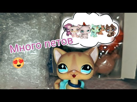 Видео: Распаковка Lps|Много новинок 😍🥰