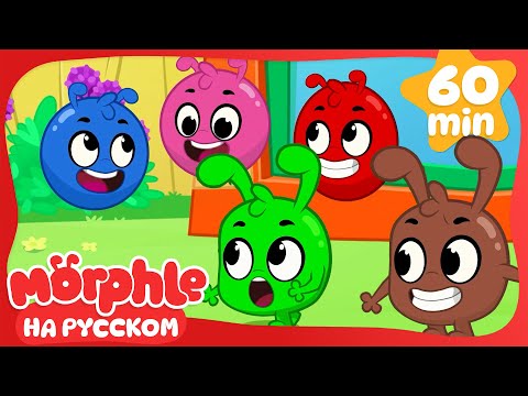 Видео: Разноцветные Морфлы🟢🔴🟡🔵 |  Сборник 1 Час | Мой волшебный питомец Морфл — Мультики для детей