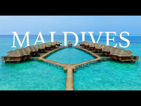 Видео: (ENG SUB) Най-Добрите Турове на МАЛДИВИТЕ 🌴 The Best Tours in The MALDIVES 🌴