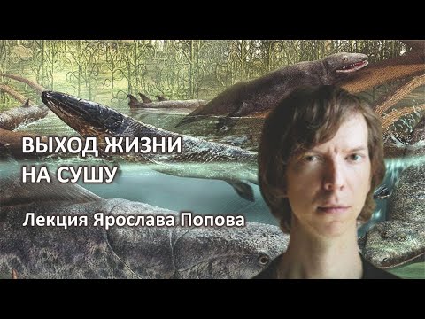 Видео: Эволюция. Выход жизни на сушу. Лекция Ярослава Попова.