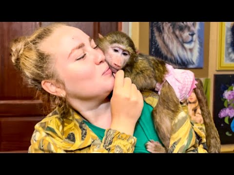 Видео: ЭТО НАДО ВИДЕТЬ, как Анфиса КО МНЕ ПОДЛИЗЫВАЕТСЯ, что бы я взяла ее ПОГУЛЯТЬ! 