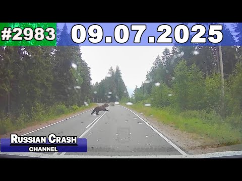 Видео: ДТП. Подборка на видеорегистратор за 09.07.2025 Июль 2025