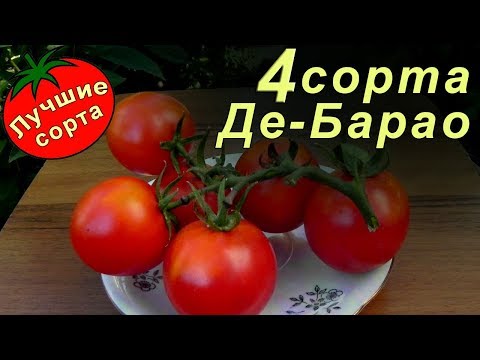 Видео: Томат Де Барао. Лучшие Сорта Томатов.